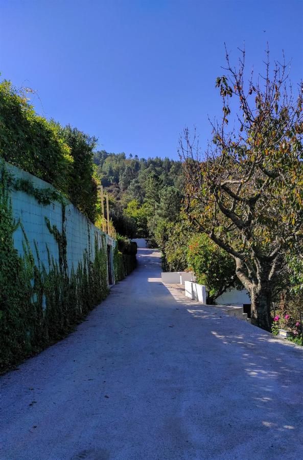 Pera Da Serra - Turismo No Espaco Rural Lousa  Luaran gambar